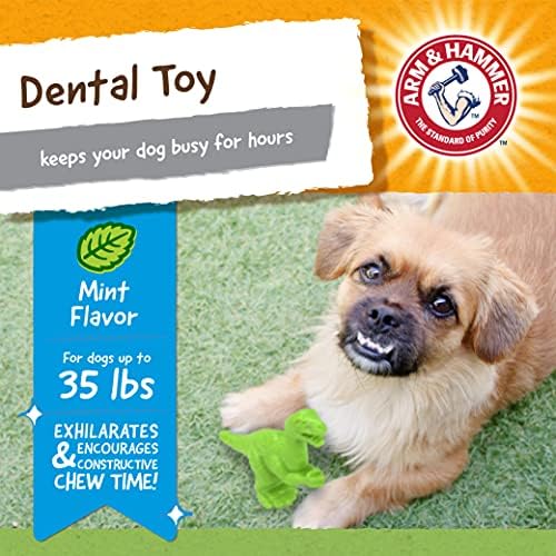 Arm & Hammer Nubbies T-Rex Dog Dental Chew Toy, Mint Flavor