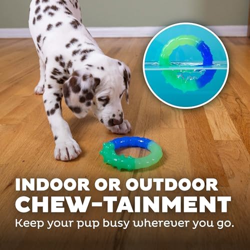 Grow-with-Me Ring Dental Dog Chew Toy, Bounces & Floats, 4.7"