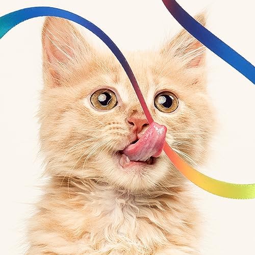 Amaxiu Cat Wand Toy Set, Interactive Cat Wand Toy with Rainbow Ribbon String, Leopard Print Cloth String for Small Cats Kittens Indoor Training Catcher (3 Packs)
