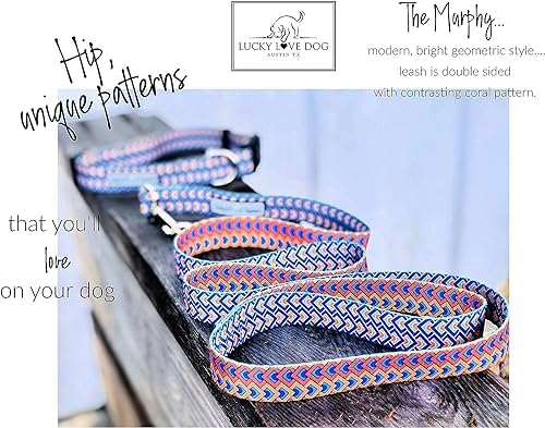 Lucky Love Dog Martingale Collar & Leash Set No Slip Cute – Murphy, Large