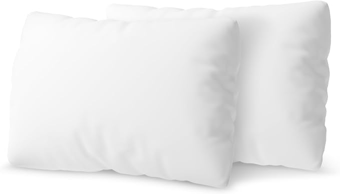 Cheer Collection Throw Pillows – Set of 2 Decorative Pillow Inserts with Removable Covers – Soft Square Pillows for Couch, Bed, and Sofa Décor,12x20