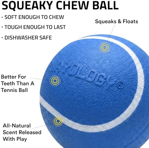 Playology Squeaky Chew Ball Dog Toy - Jumbo, Hot Dog Scent