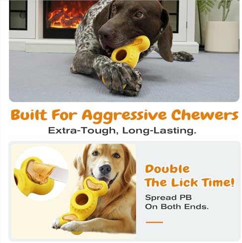 KADTC 3-in-1 Frozen Treat, Lick, Tough Chew Dog Toy for Medium/Large Dogs