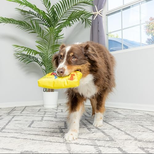 SPOT Fun Candy - Whimsical Funny Dog Squeak Toy - Sour Pooch, 7Inch