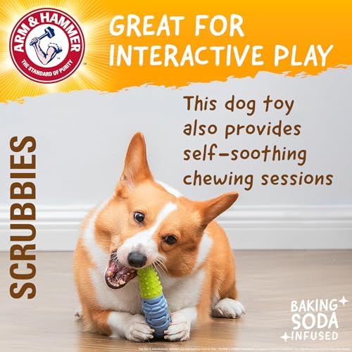 Arm & Hammer Scrubbies Boomerang Dental Chew Toy, Adult, Large, 7 in