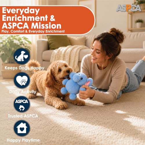 ASPCA Plush Squeaky Dog Toy for Small, Medium & Large Dogs – Soft Round Plush Pet Toy with Full Body Squeaker, Lightweight Fetch Toy for Indoor Play, Cuddling & Enrichment, Elephant