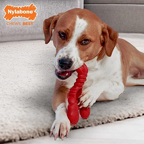 Nylabone Lobster Power Chew Toy for Dogs, Dog Toys for Aggressive Chewers