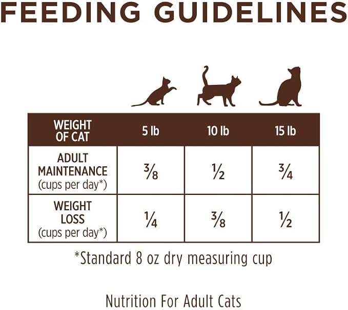 Instinct Limited Ingredient Diet Dry Cat Food, Real Rabbit, 4.5 lb. Bag | Single animal protein and vegetable recipe, raw-coated kibble, farm-raised rabbit, gentle on sensitive stomachs