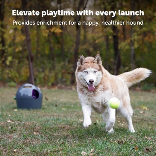 PetSafe Automatic Dog Ball Launcher