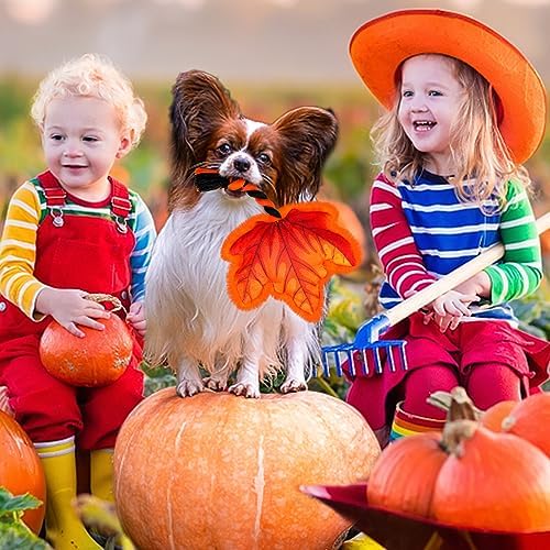 Thanksgiving Dog Toy, Squeaky Maple Leaf Rope Toy for Small Dogs