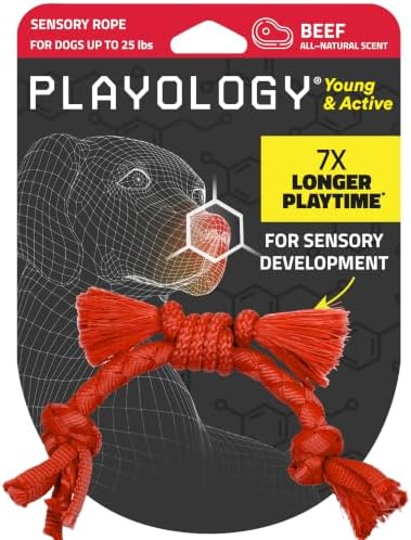 Playology Dog Toys | Sensory Rope for Puppies and Young Dogs | Beef Scented Small Tug of War Dog Toy | Teething Puppy Essentials Rope Toys
