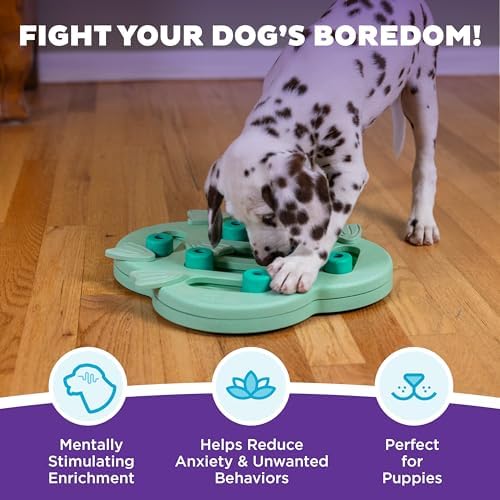 Outward Hound Nina Ottosson Puppy Hide N' Slide Dog Toy Treat Puzzle, 11.6"