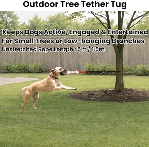 Dog Bungee Tug Toy for Door Hanging, Small Medium Dogs