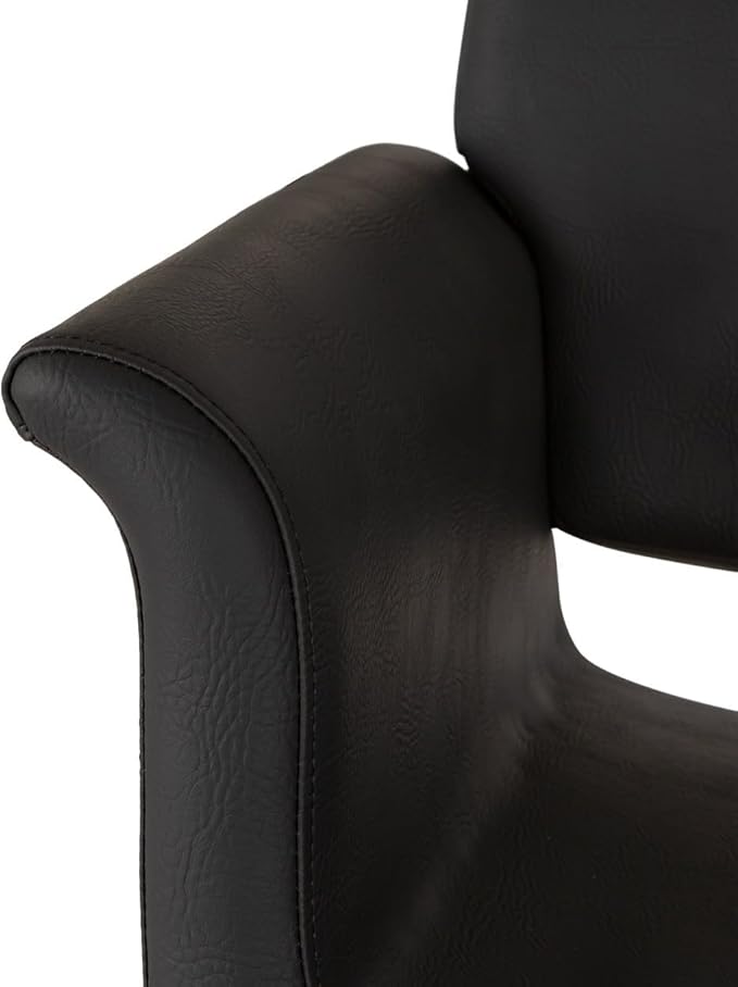 Buy-Rite Capri Styling Chair for Professional Salons & Barbershops - Luxurious Black Vinyl, Black Stitching, Elegant Curved Arms, Crevasse-Free Cushions - YLG-298-1