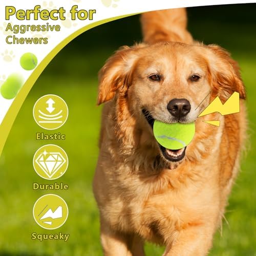 Swingers Squeaky Tennis Balls for Dog, 2.5 Inch Training Tennis Balls