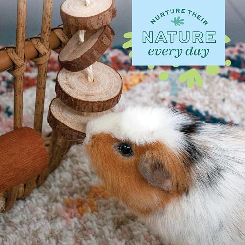 Oxbow Natural Dangly Party Pack, Rabbit & Guinea Pig Toys, Enrichment