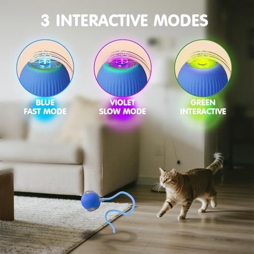 Rocfish Durable Interactive Cat Toys for Indoor Cats (blue01, 01)