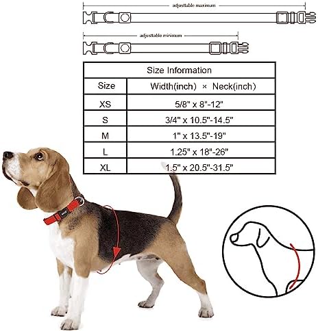 Dog Collar for Small Dogs (Width- 5/8", Neck - 8"-12") | Adjustable Padded Amethyst Dog Collar with Heavy Duty D-Ring | Soft Comfortable Fit for Small Dogs | Amethyst, X-Small
