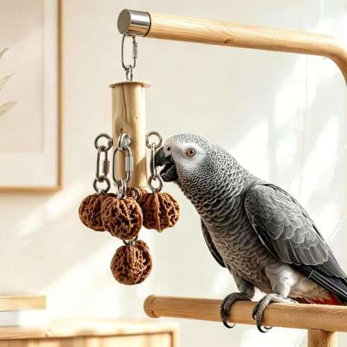 AOTU Bird Toys for Cockatiels Parrot Toys for Large Birds 304 Stainless Steel and Natural Hardwood Chew Toy for Macaw, Cockatoo African Greys Medium to Large Parrots Safe and Durable (Hard Walnuts)