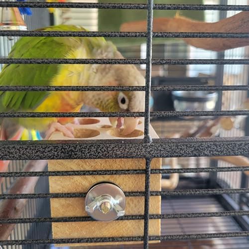 QBLEEV Bird Wooden Block Puzzle Parrot Chicken Foraging Toys, Small Animal Shredding Teething Parakeet Cockatiel Conure Budgie Cage Toys