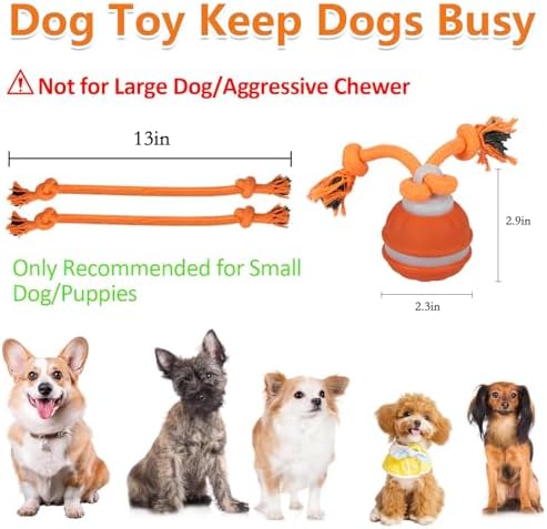 2Pack Interactive Dog Toys for Small Dogs – Peppy Pet Ball & Chase Buddy Dog Toy Active Rolling Puppy Toys to Keep Them Busy, Daily Training Interactive Puppy Toys