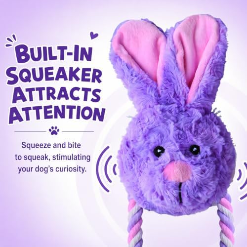 Plush Long Legged Rabbit Dog Toy