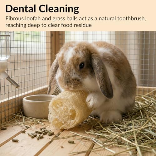7 Pcs Rabbit Chew Toys, Interactive Bunny Foraging Toy, Natural Materials, Loofah Sponges, Seagrass Balls, Dental Cleaning, Relieve Stress