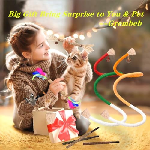 Cat Toys 21PCS Mix Catnip Chew Rope Silvervine Stick for Indoor Cat