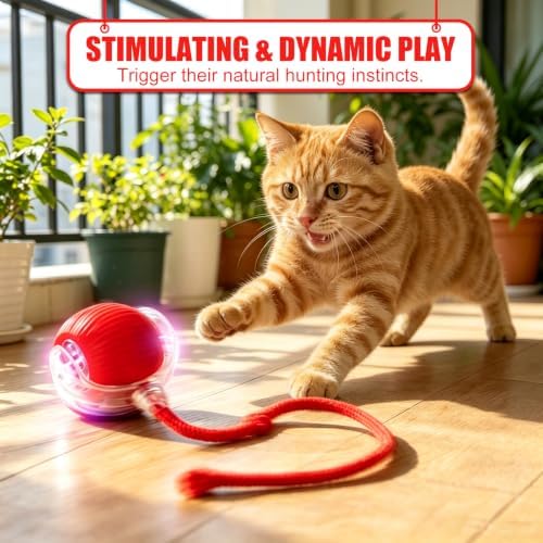 Automatic Interactive Rolling Cats Toys Ball for Indoor, Electric Automatic Rolling Pet Toy, 360° Smart Interactive Rolling Dog Ball Durable and Safe Material for Cat and Dog(Red)