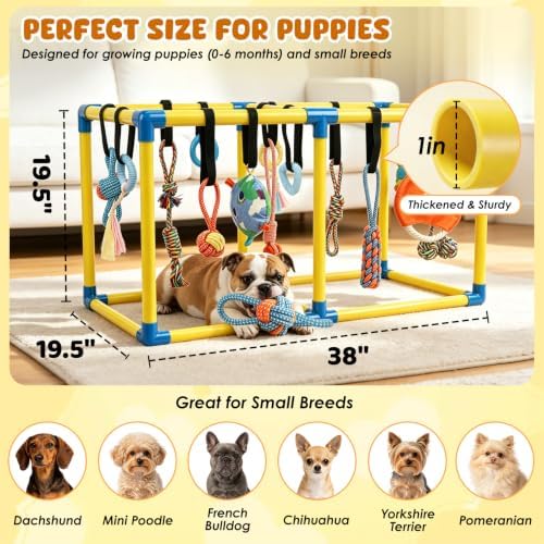 XIAPIA Puppy Play Gym with 14 Hanging Toys, Indoor Puppy Gym for Small Dogs