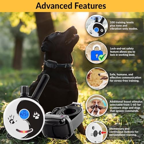 E-Collar Mini Educator ET-300 Remote Dog Training Collar, ZEN