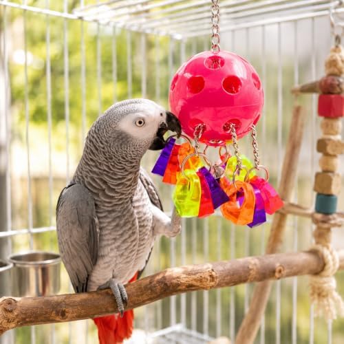 Bonka Bird Toys 1938 Paci Pull Colorful Pacifier Ring Acrylic Parrot Parrotlet Budgie Quaker African