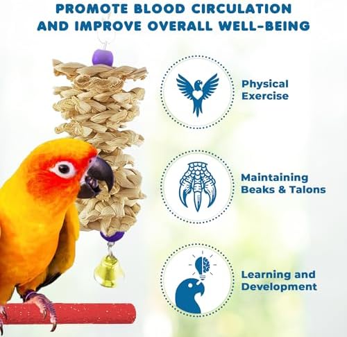 SunGrow Parrot Swing and Perch Bundle, Keep Birds from Hatching Plans for World Domination with Joyful Colorful Items for Love Birds, Conures, Cockatiels, Finches, Parakeets, 12 Pieces
