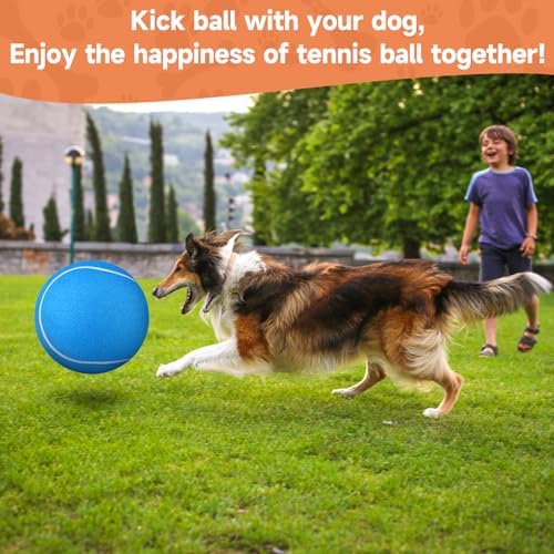 QDAN Dog Tennis Balls, Large Big Dog Toys, Herding Ball for Dogs, 9.5 Inch