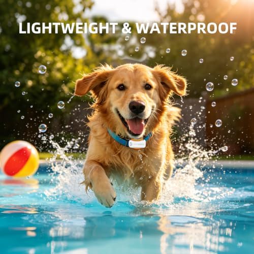 DBDD GPS Dog Tracker, 12-Mo Sub, Real-Time Loc, E-Fence, Health Monitor