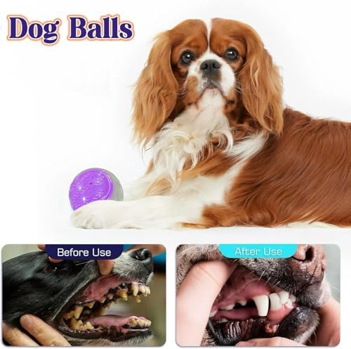 6Pcs Rubber Dog Balls, 2.5 Inch for All Breeds Dogs