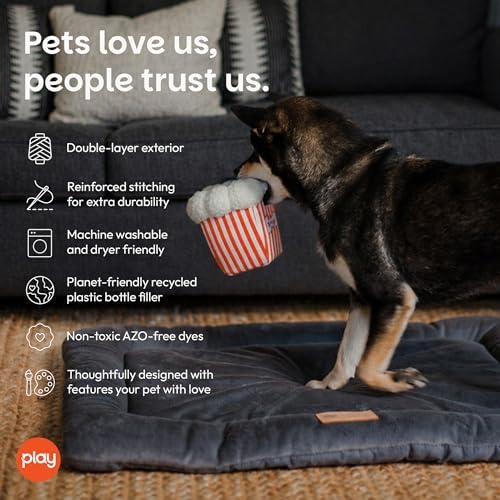 P.L.A.Y. Cute Plush Dog Toys - Hollywoof Cinema, Movie Themed Durable Squeaker Chew Toy, Great for Puppies & Small, Medium, Large Dog Breeds - Machine Washable, Recycled Materials (Poppin' Pupcorn)