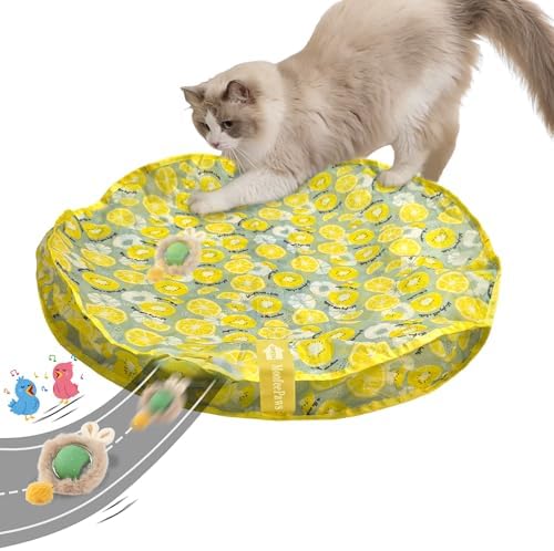 Cat Toys for Indoor Cats, Interactive Cat Toy for Adult Cats