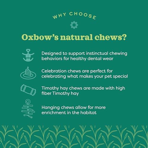 Oxbow Enriched Life Twisty Rings, Rabbit Toys, Guinea Pig Toys, Enrichment for Bunny, Guinea Pig, Hamster, Rabbit, Chinchilla, Rat, Chinchilla Cage Accessories, Small Pet Accessories for Cage