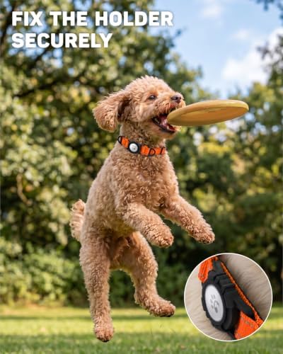 Padded Dog Collar with Waterproof Holder Compatible with Airtag