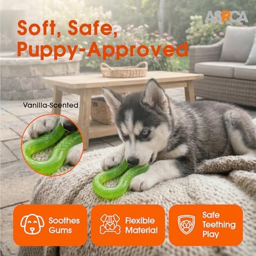 ASPCA TPR Translucent Twist Double Ring Dog Toy – Infinity Shape, Vanilla Scented, Gentle on Teeth, Durable Outdoor Play, Dental Health Chew Toy