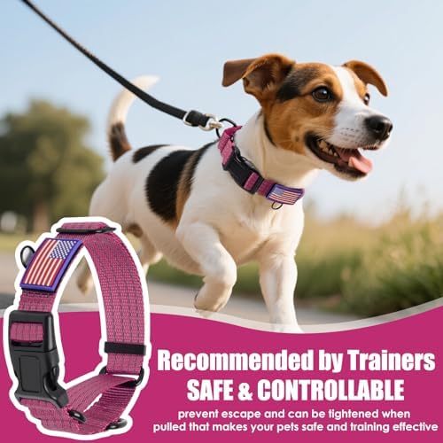 Martingale Dog Collar Reflective with USA Flag Patch, M,Hot Pink