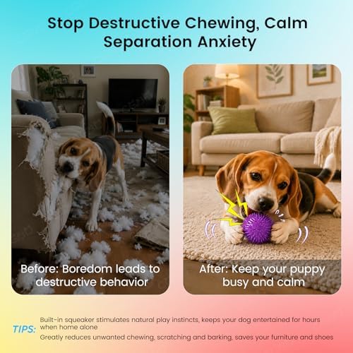 Squeaky Dog Toys Balls, 6 Pack 2.5" Spiky Dog Balls, Durable Puppy Chew Toys for Teething, Interactive Fetch Dog Toy Balls for Small Dogs