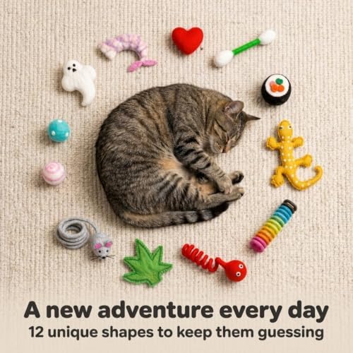 Glaciart One Wool Felt Cat Toys for Indoor Cats, 12-Piece Catnip Set