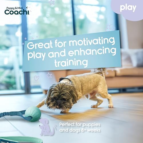 Coachi Puppy & Mini Tuggi Ball - Dog Toy for Tug of War & Play
