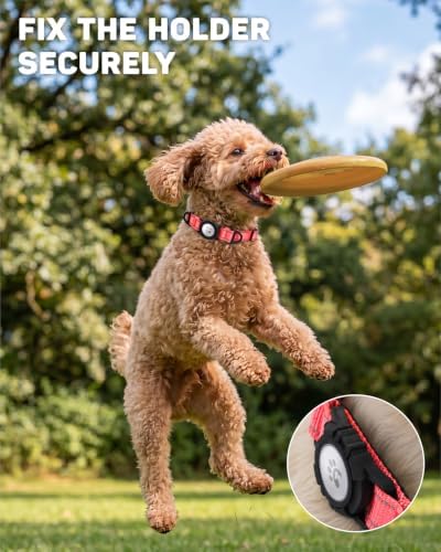 Padded Dog Collar with Waterproof Holder Compatible with Airtag