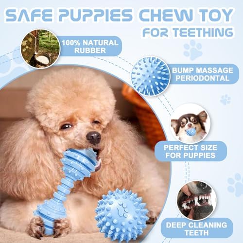 Puppy Toys - 7 Pack Puppies & Small Dogs Chew Toys for Teething,Relieves Teething Anxiety, Soft & Durable Interactive Toys, Not for Heavy Chewer