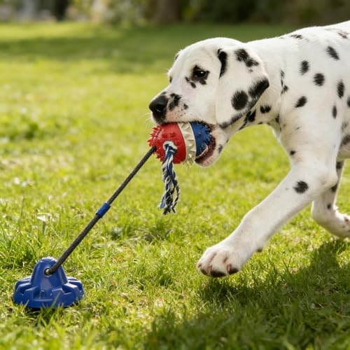 Interactive Dog Toys Mental Stimulation Flirt Poltug of War for Games, Teething Treats & Puzzle Food Dispensing Ball Cognitive Pull Pitbull Toy Keep Them Busy Ropes