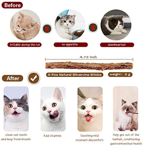 KABB Cat Toys for Indoor Cats, 3pcs 16 Inch Natural Wood Cat Teaser Wand Toy with Teaser Refills for Cat Kitten Having Fun Exerciser Playing, Bonus 5pcs Catnip Sticks for Cat Teeth Cleaning