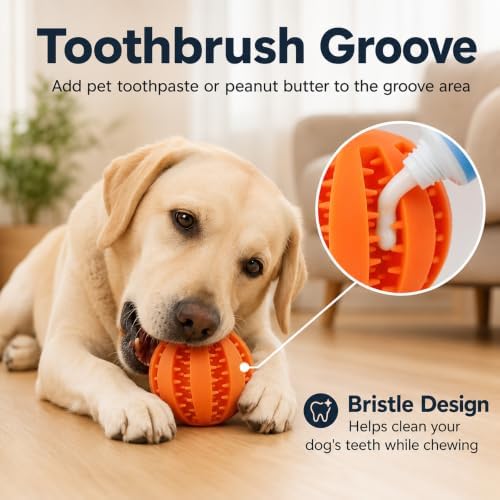 GASHIK Dog Treat Ball for Dogs, Rubber Dental Chew Toy for Dogs